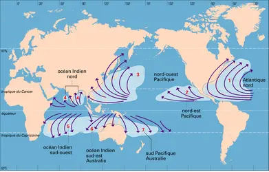 Cyclones Tropicaux Situation G Ographique Et Trajectoires Des