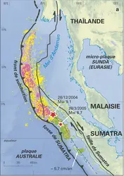 TSUNAMIS ET SÉISMES DE SUBDUCTION La catastrophe de Tōhoku au Japon