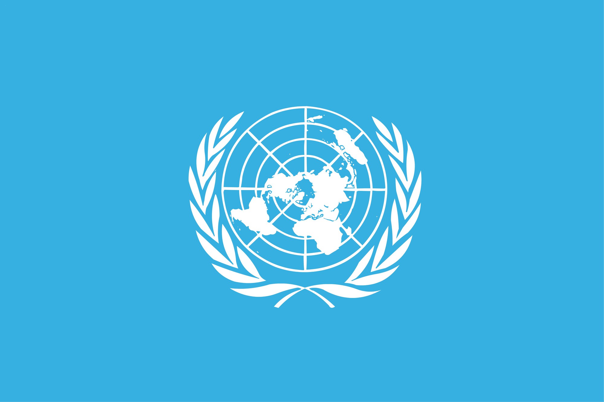 Organisation des Nations unies : drapeau