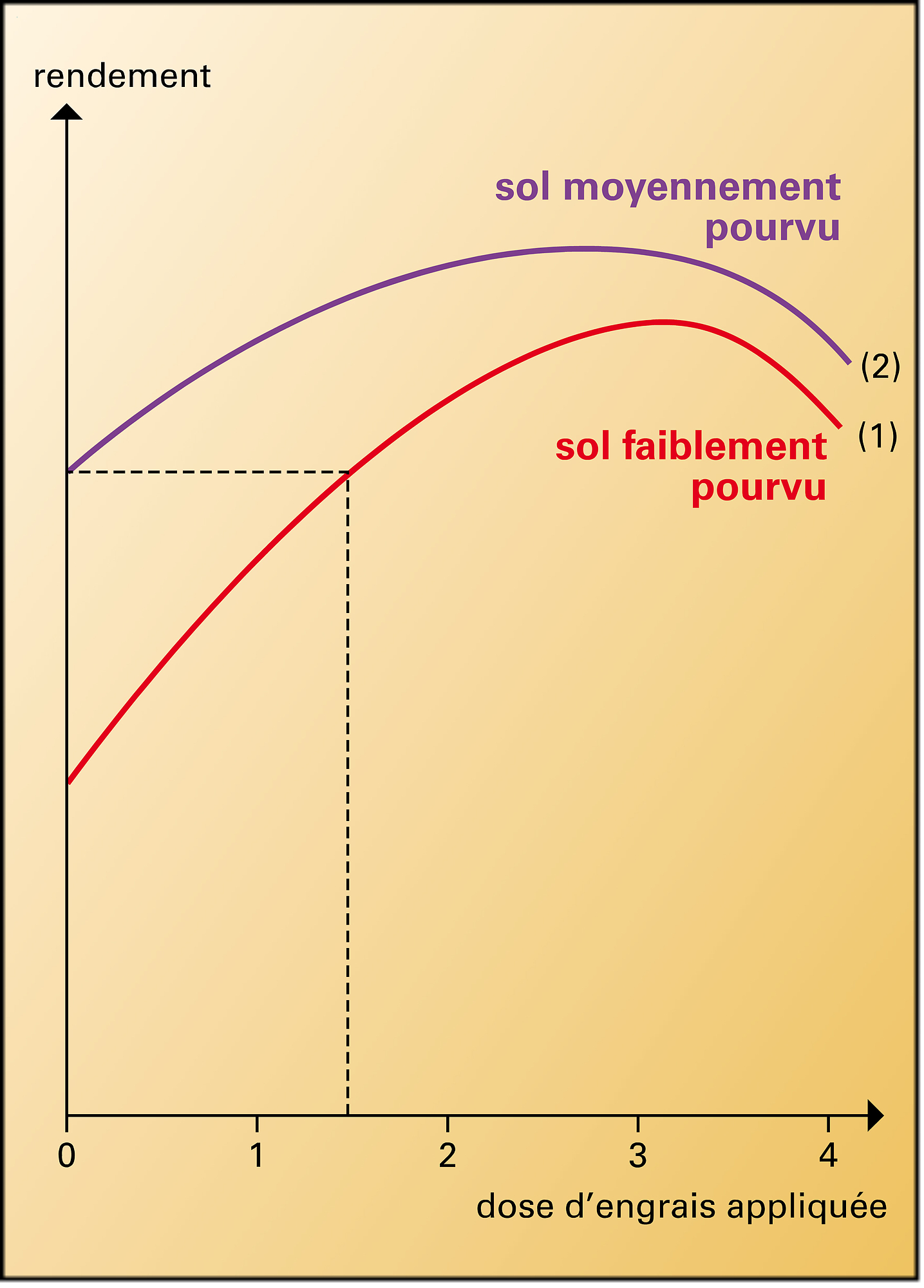 Engrais : action de doses croissantes - crédits : Encyclopædia Universalis France