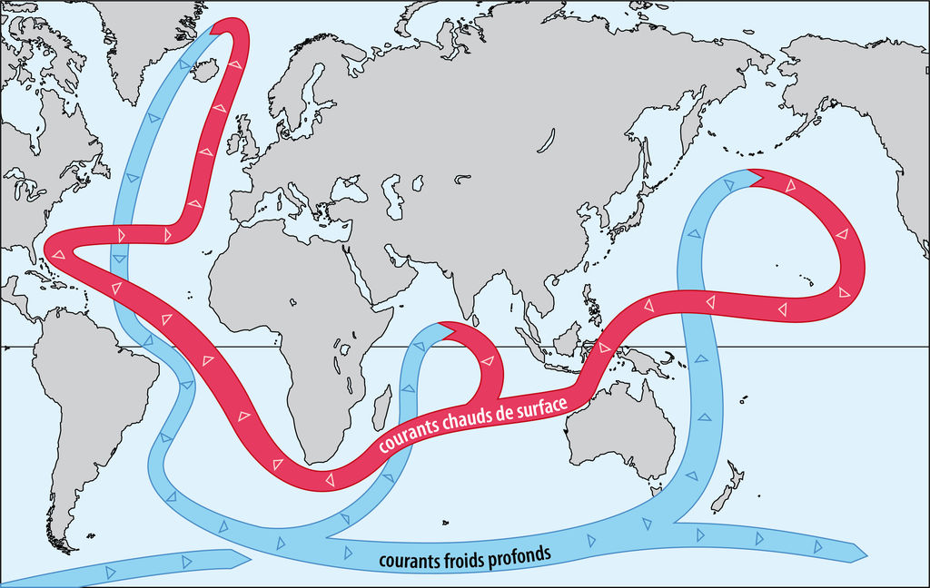 Schéma de la circulation générale des courants océaniques