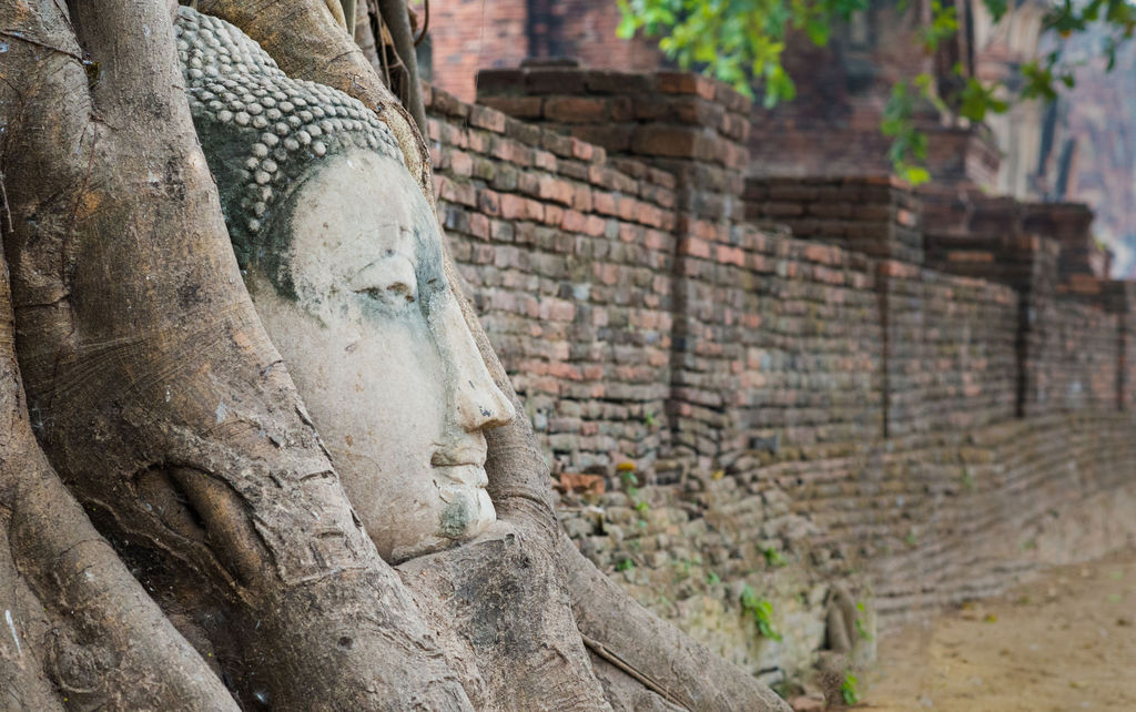 Tête de bouddha, temple de Wat Mahathat, Ayuthya, Thaïlande - crédits : Braedostok/ Shutterstock