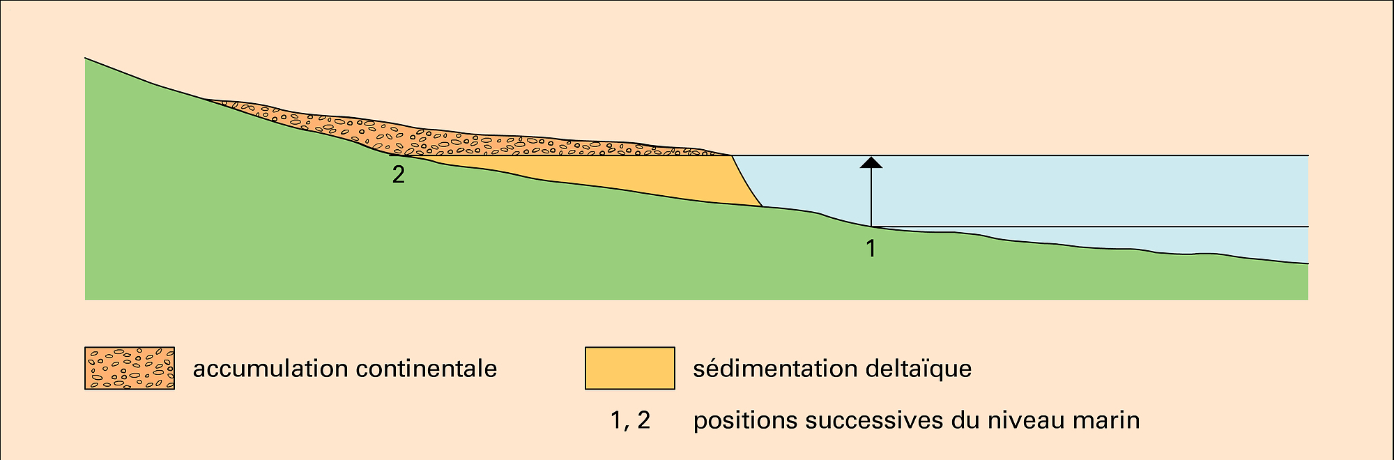 Transgression marine sur côte basse - crédits : Encyclopædia Universalis France