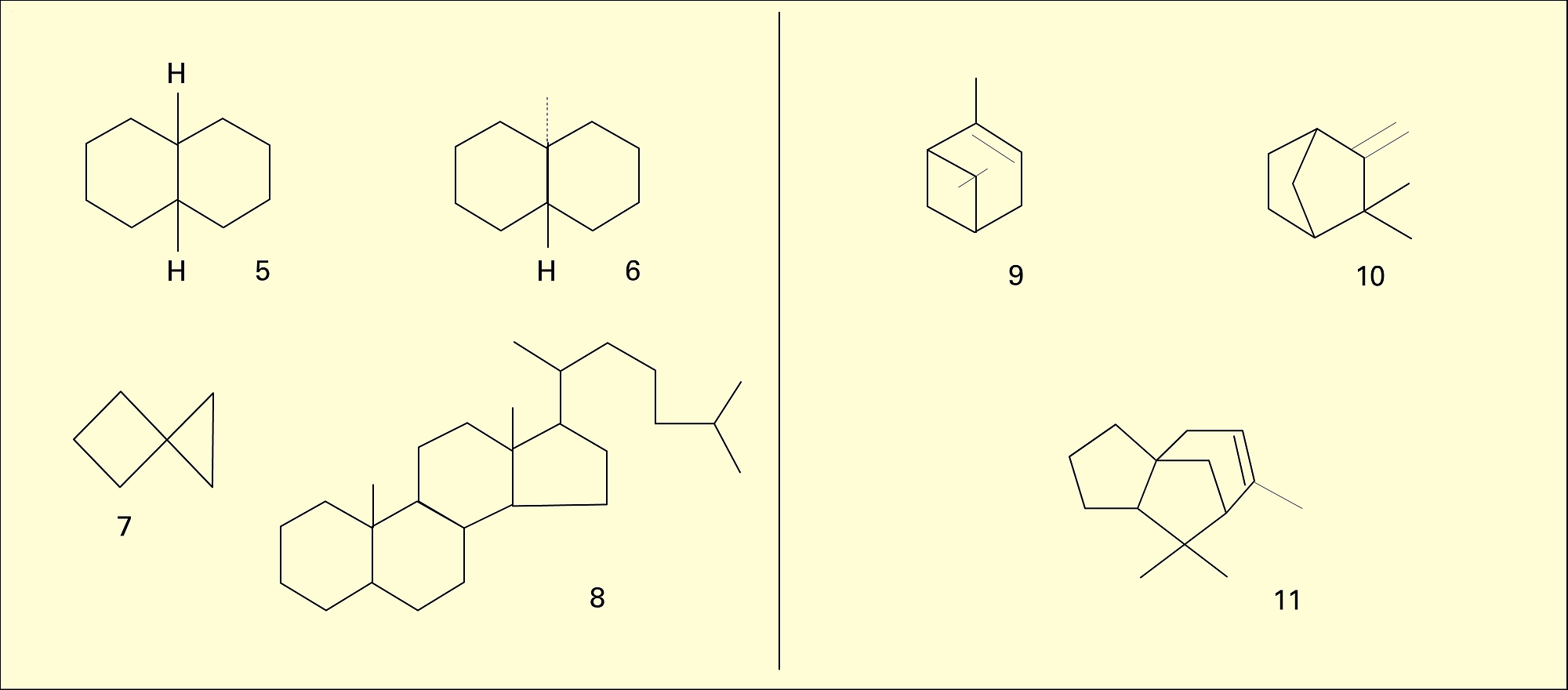 Types polycycliques - crédits : Encyclopædia Universalis France