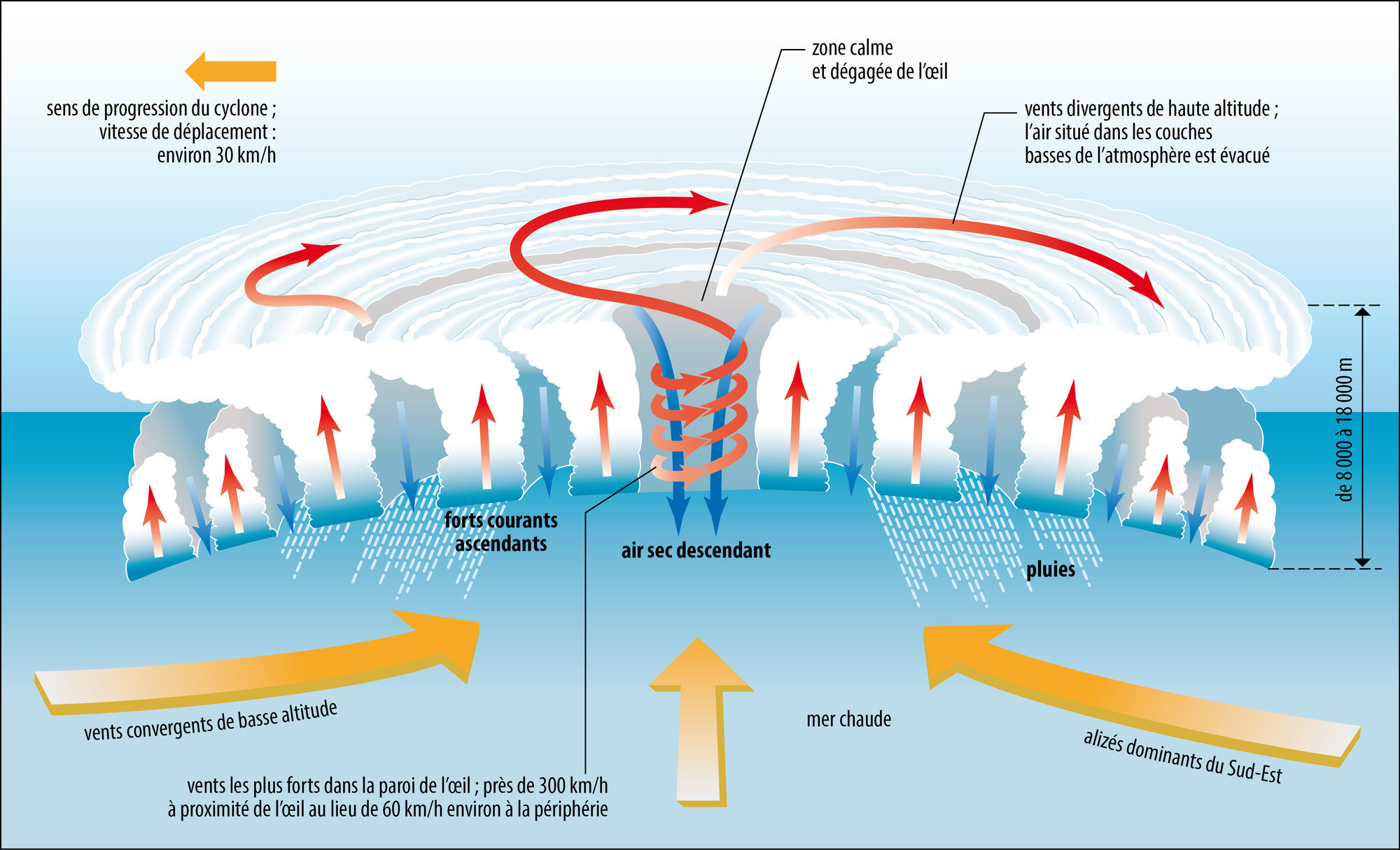 Structure d’un cyclone tropical