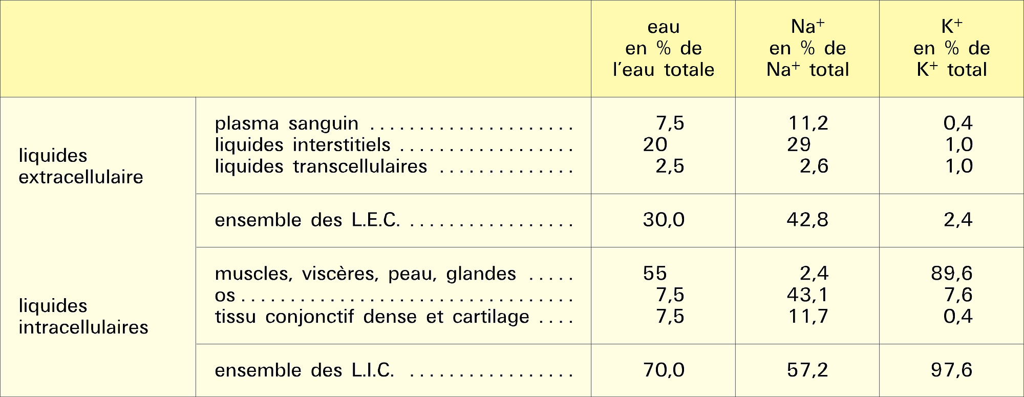 Eau, calcium et potassium dans l'organisme - crédits : Encyclopædia Universalis France