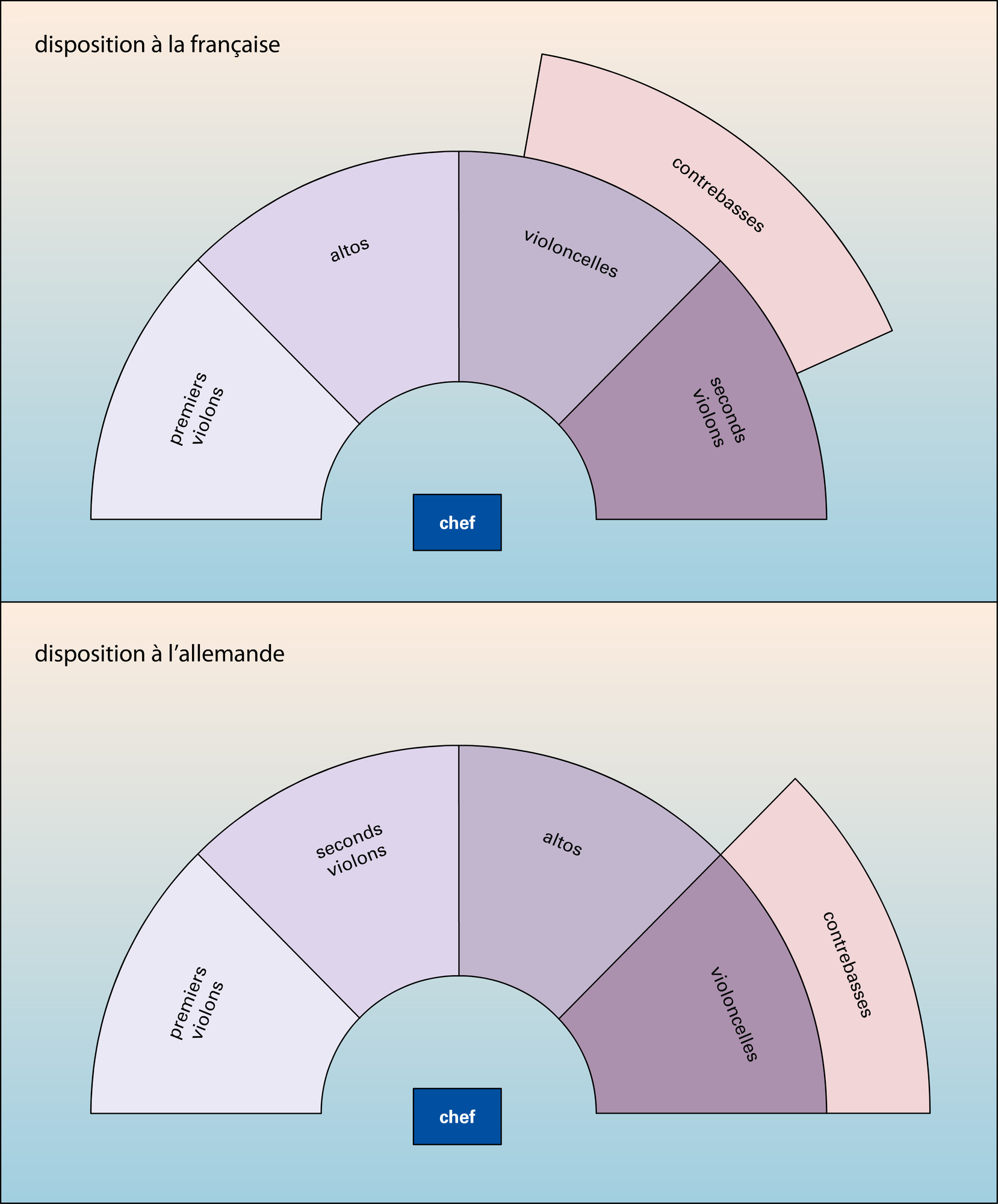 Dispositions des cordes