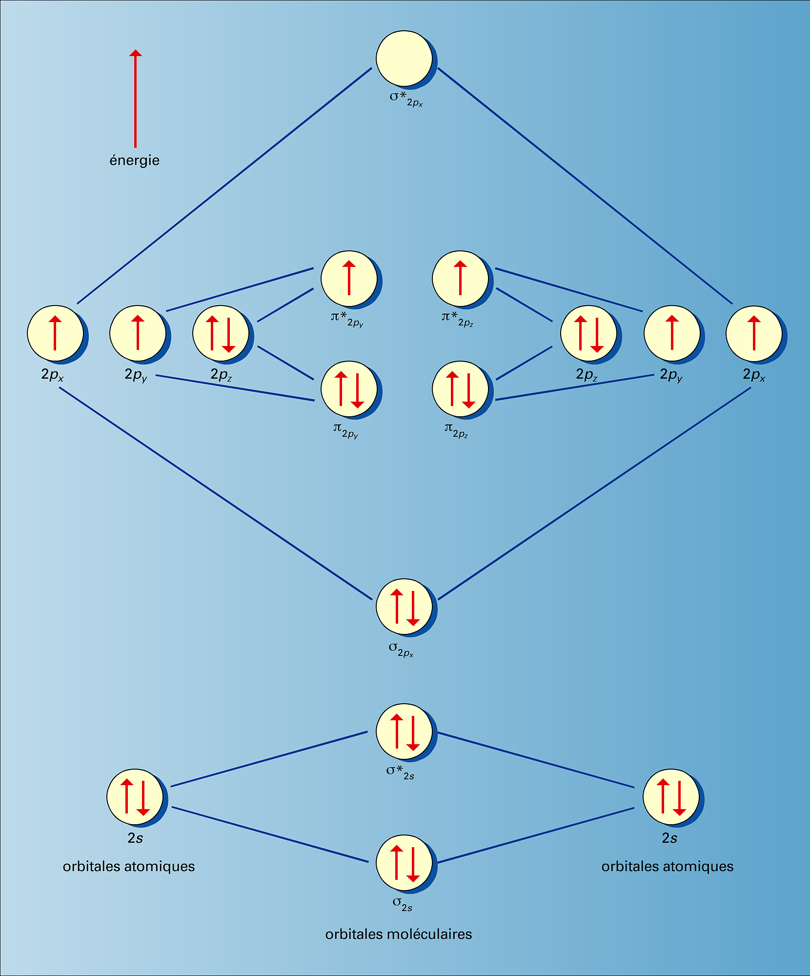 Molécule : structure - crédits : Encyclopædia Universalis France