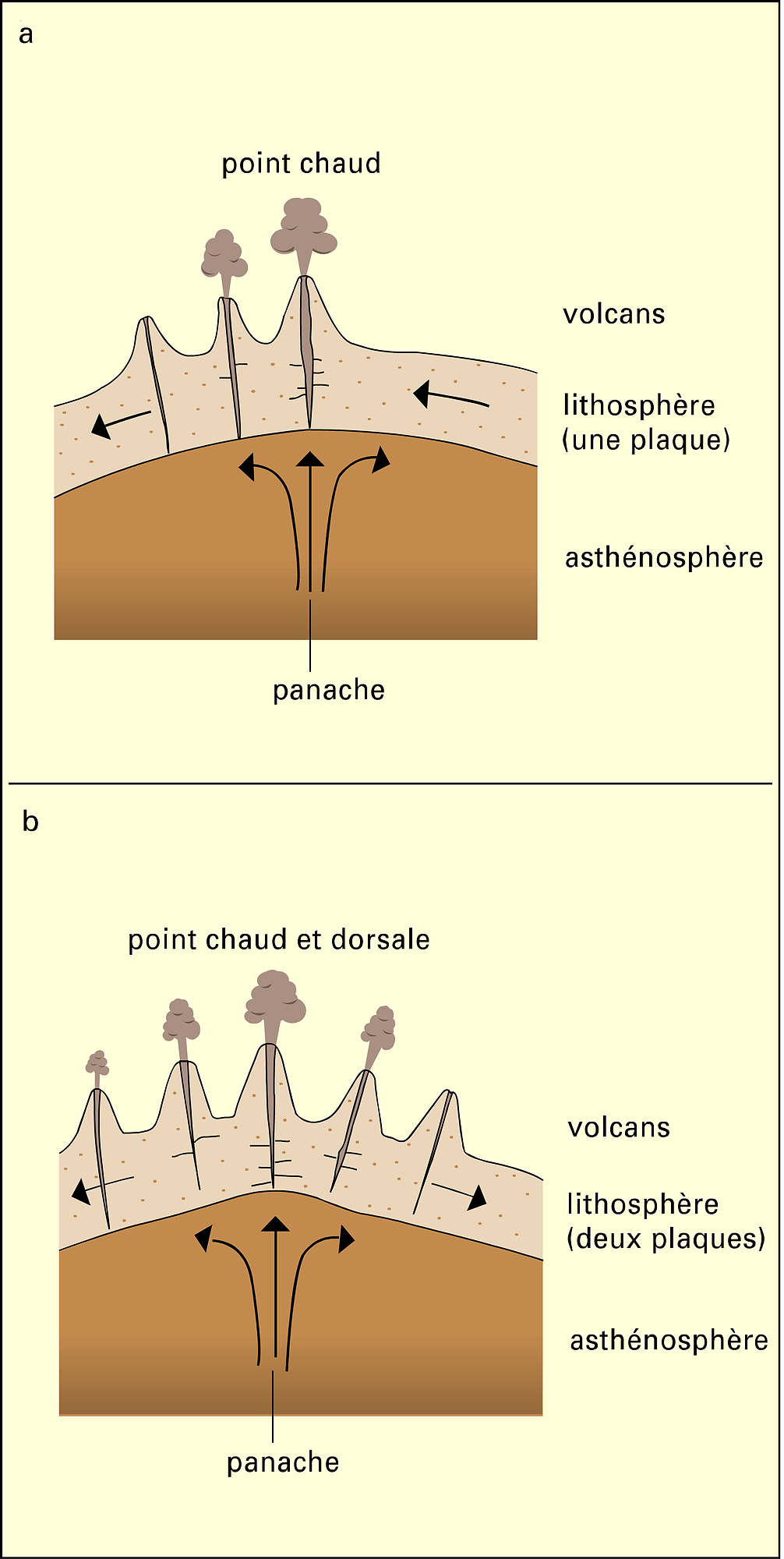 Impact d'un panache magmatique sur la lithosphère