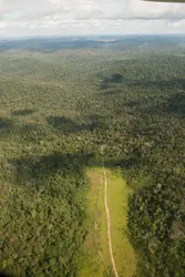 Forêt amazonienne - crédits : Sue Cunningham Photographic/ Alamy/ Hemis