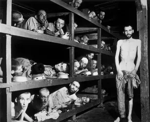 Buchenwald - crédits : H Miller/ Getty Images