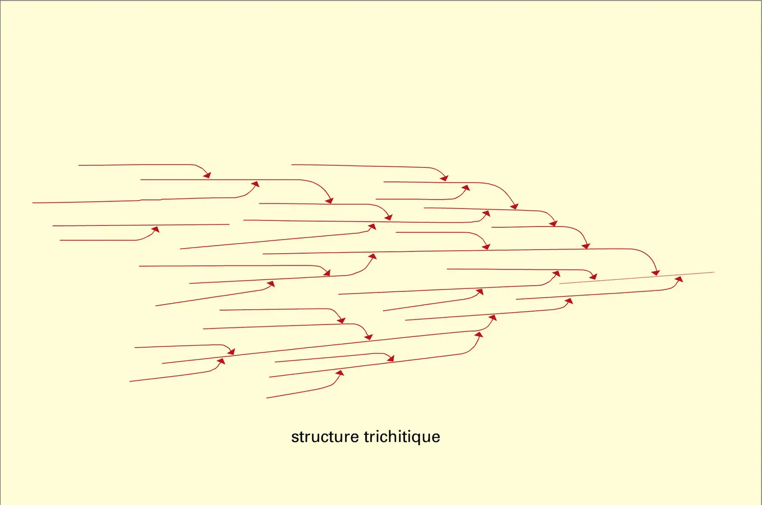 Amidon : structure des molécules - vue 2