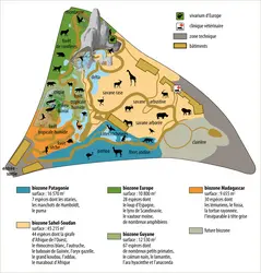 Plan du Parc zoologique de Paris - crédits : Encyclopædia Universalis France