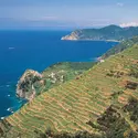 Ligurie : Cinque Terre - crédits : M.Santini/ De Agostini/ Getty Images