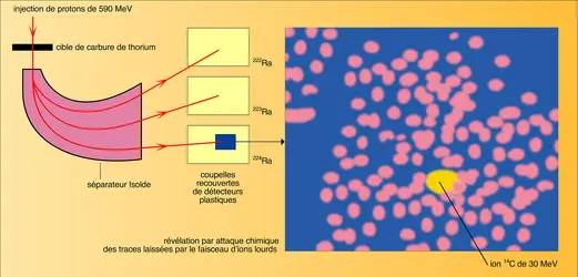 Détection des radioactivités exotiques en ligne auprès du synchrotron du Cern - crédits : Encyclopædia Universalis France