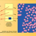 Détection des radioactivités exotiques en ligne auprès du synchrotron du Cern - crédits : Encyclopædia Universalis France