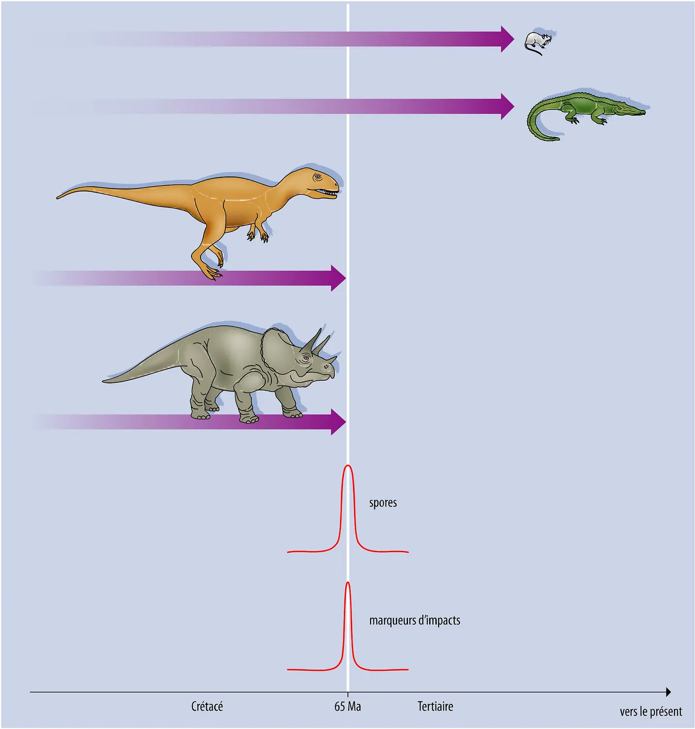 Extinctions biologiques : les effets de l'impact d'une météorite