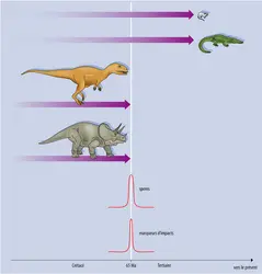 Extinctions biologiques : les effets de l'impact d'une météorite - crédits : Encyclopædia Universalis France