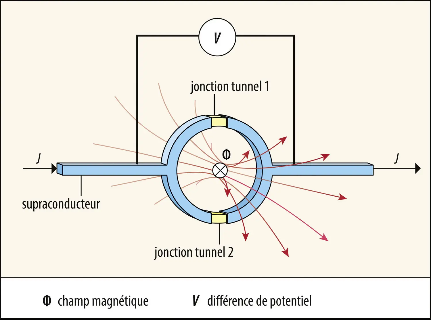 Squid (<em>superconducting quantum interferometer device</em>)