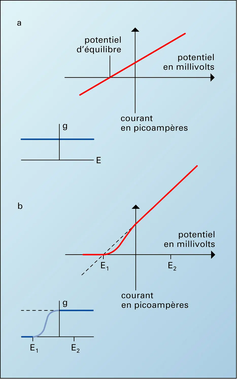 Relations courant-potentiel, et relations potentiel-conductance