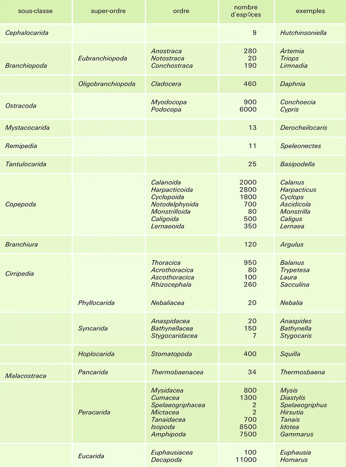 Crustacés : classification