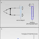 Double granularité - crédits : Encyclopædia Universalis France