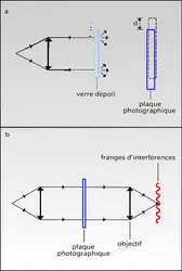 Double granularité - crédits : Encyclopædia Universalis France