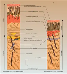 Ophiolites : nature et structure - crédits : Encyclopædia Universalis France