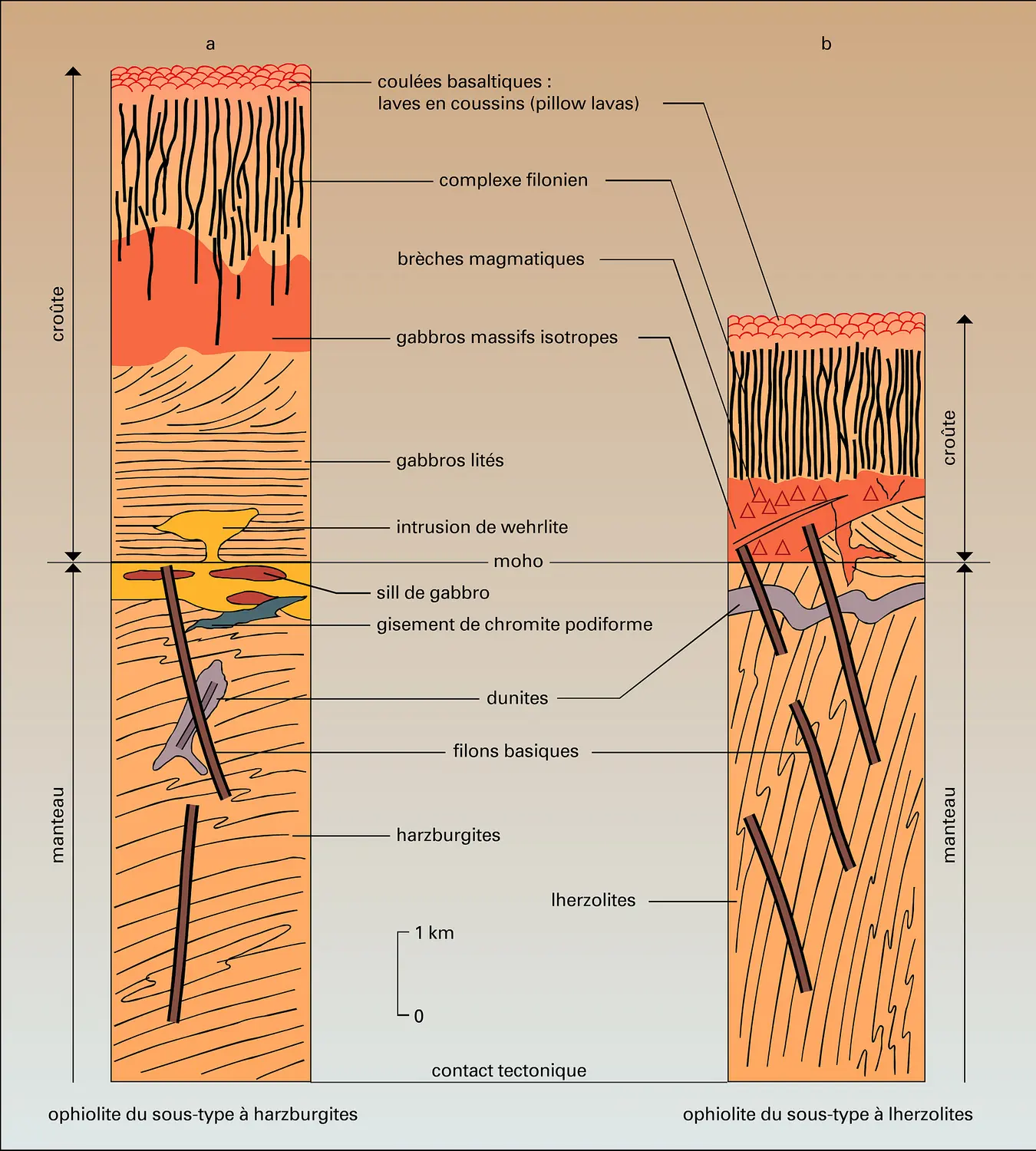 Ophiolites : nature et structure