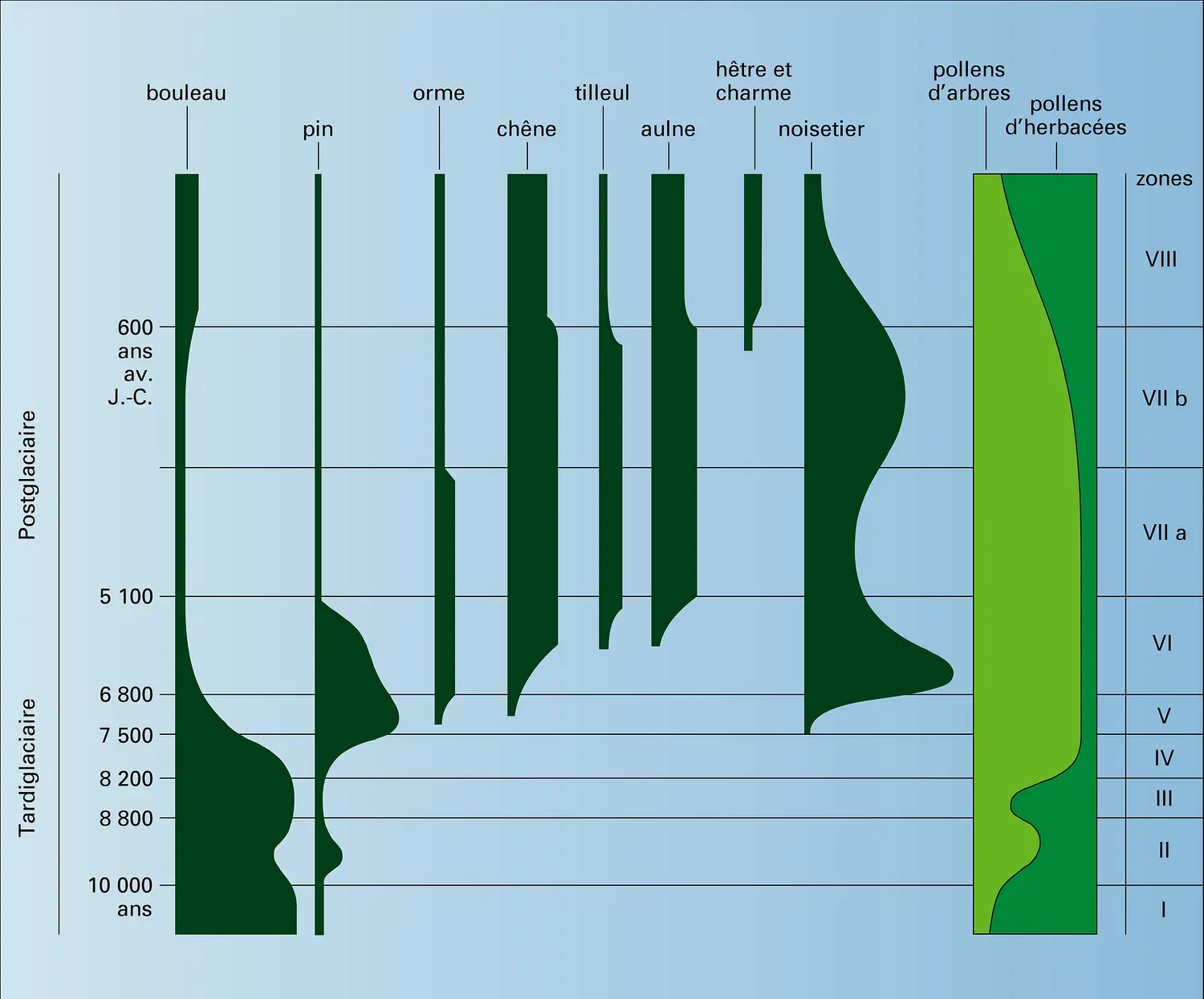 Diagramme pollinique