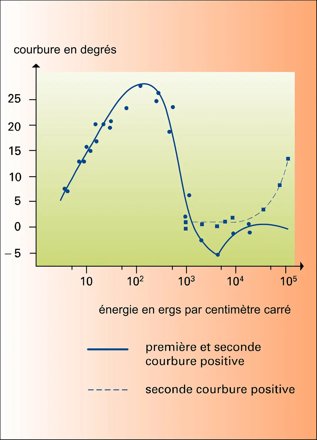 Phototropisme et énergie lumineuse