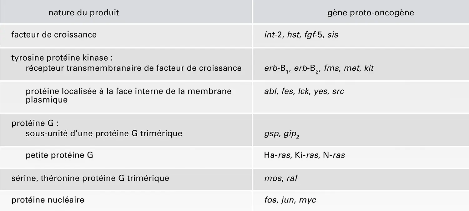 Protéines produits de gènes proto-oncogènes