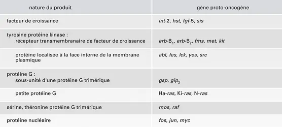 Protéines produits de gènes proto-oncogènes - crédits : Encyclopædia Universalis France