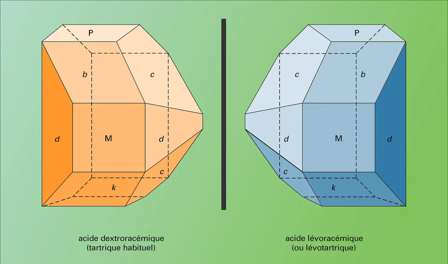 Acides dextroracémique et lévoracémique