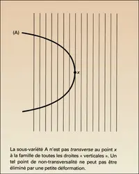 Point de non-transversalité - crédits : Encyclopædia Universalis France