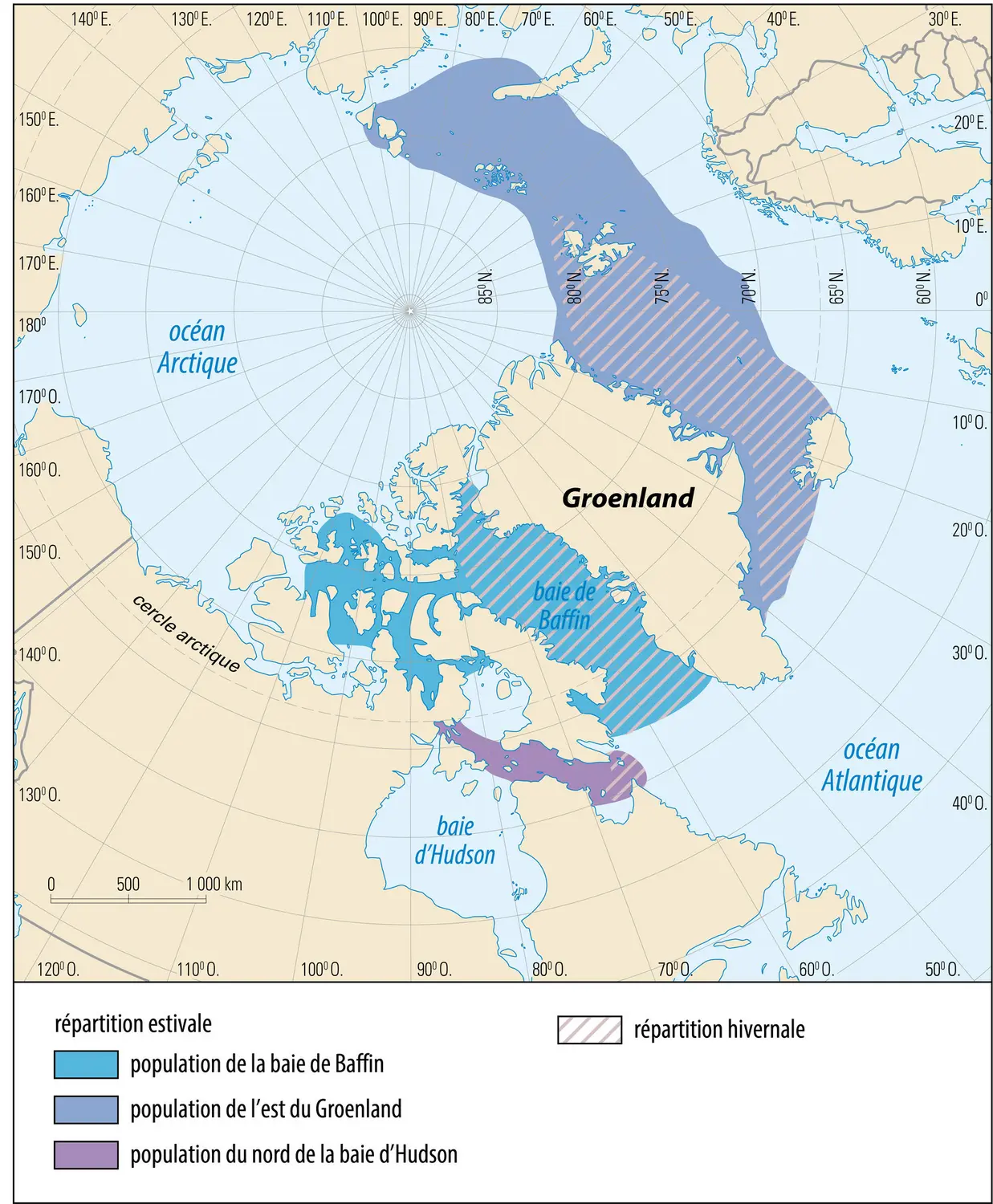 Populations de narvals