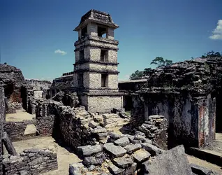 Palenque - crédits : G. Dagli Orti/ De Agostini/ Getty Images