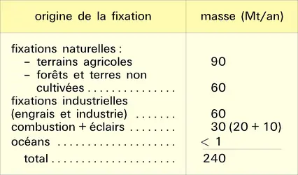 Azote - crédits : Encyclopædia Universalis France