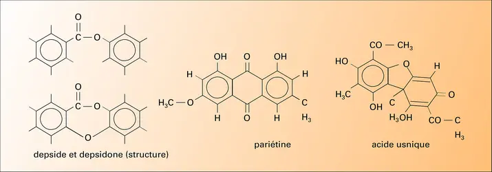 Substances excrétées - crédits : Encyclopædia Universalis France