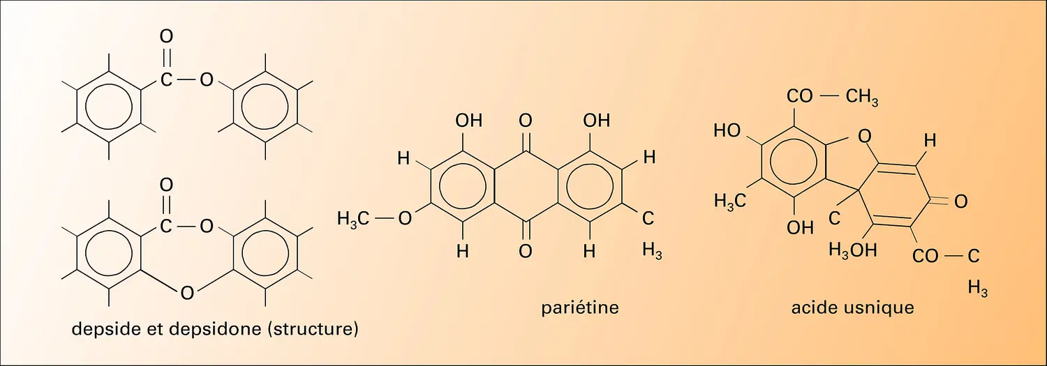 Substances excrétées