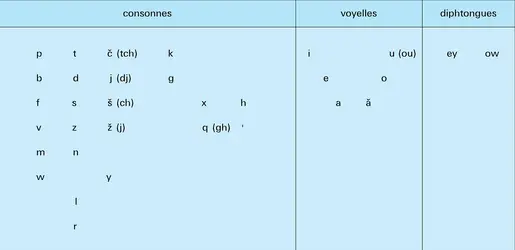 Phonèmes : répartition synchronique - crédits : Encyclopædia Universalis France
