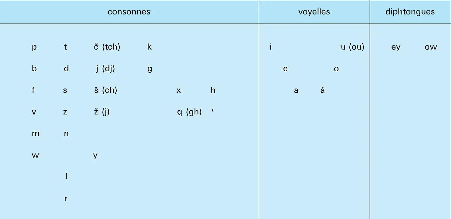 Phonèmes : répartition synchronique