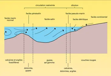 Bassin marin à sédimentation - crédits : Encyclopædia Universalis France