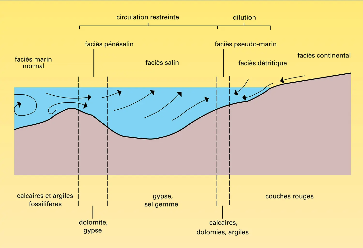 Bassin marin à sédimentation