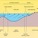 Bassin marin à sédimentation - crédits : Encyclopædia Universalis France