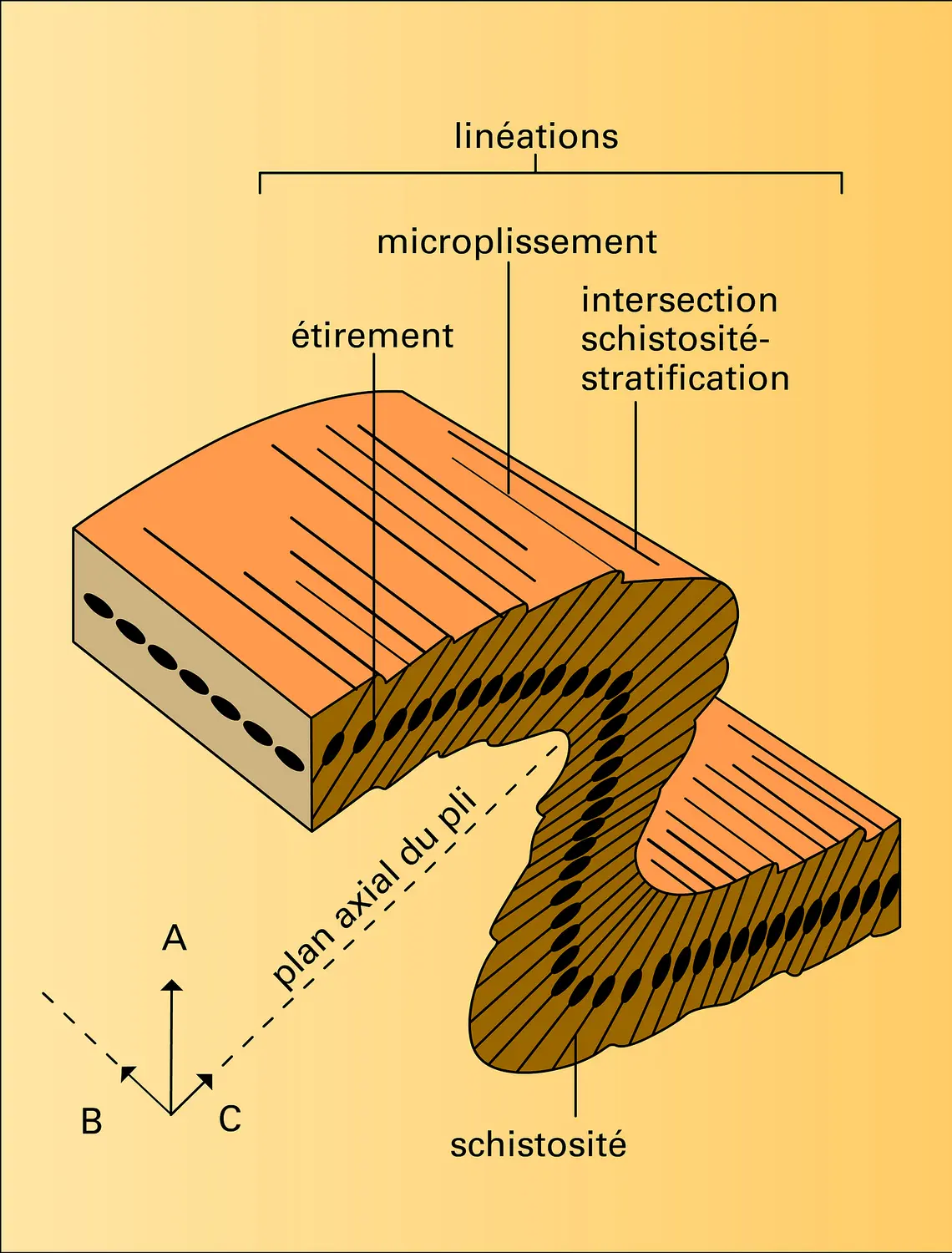 Ministructures dans un pli