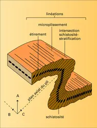 Ministructures dans un pli - crédits : Encyclopædia Universalis France