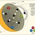 Intérieur d’un proton - crédits : Encyclopædia Universalis France