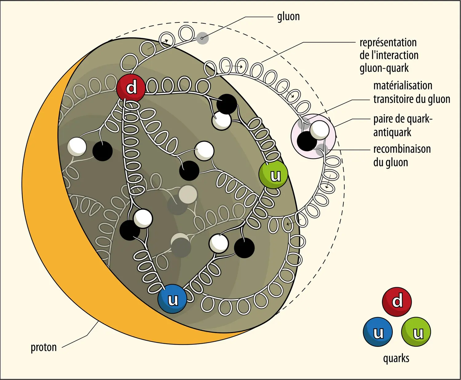 Intérieur d’un proton