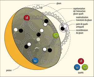 Intérieur d’un proton - crédits : Encyclopædia Universalis France